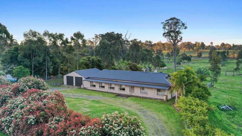 Photo - 11 Sophia Jane Drive, Nelsons Plains NSW 2324 - Image 2