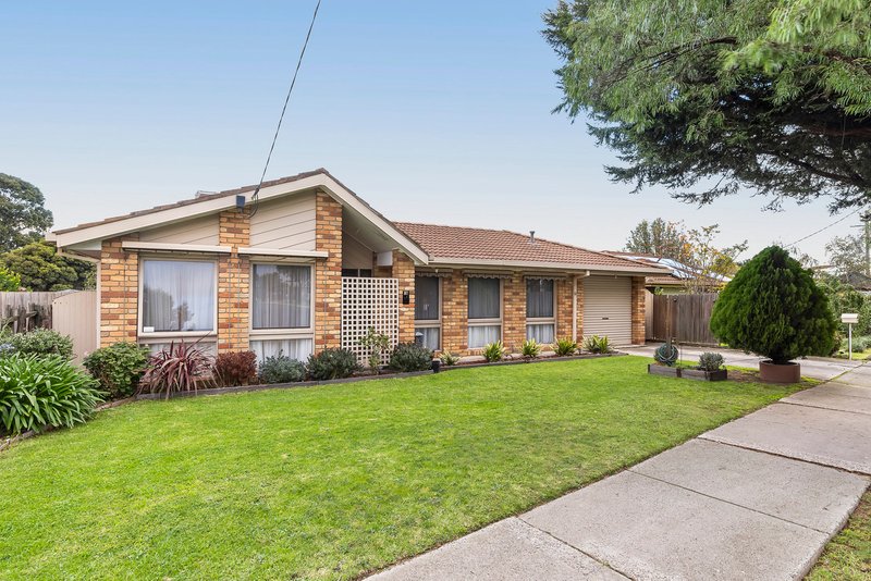 Photo - 11 Sparkford Road, Craigieburn VIC 3064 - Image 1