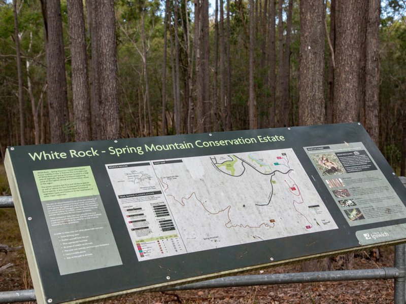 Photo - 11 Speckled Circuit, Springfield Lakes QLD 4300 - Image 23