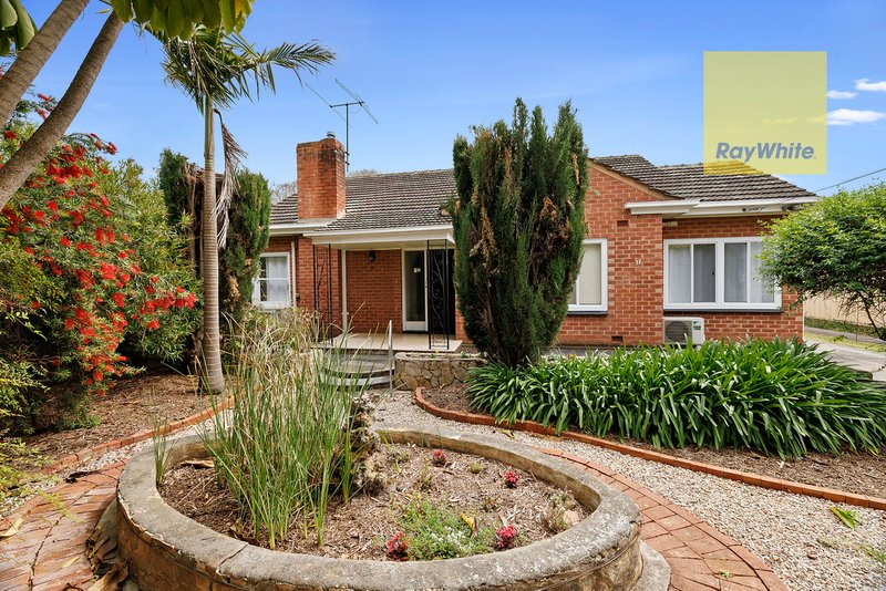 Photo - 11 St Lawrence Avenue, Edwardstown SA 5039 - Image 3