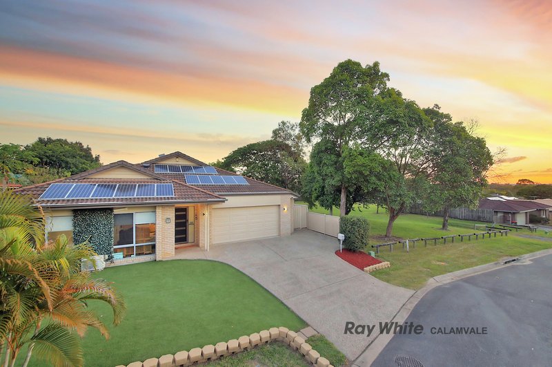 Photo - 11 Stevenson Street, Calamvale QLD 4116 - Image 23