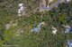 Photo - 11 Stony Creek Close, Cannonvale QLD 4802 - Image 5