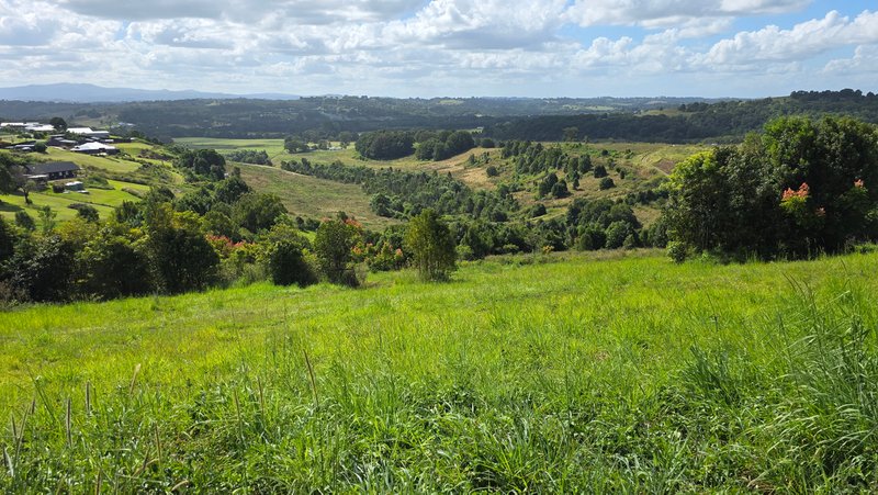 Photo - 11 Talbot Close, Mcleans Ridges NSW 2480 - Image 2