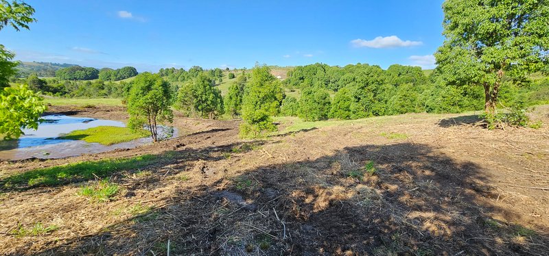 Photo - 11 Talbot Close, Mcleans Ridges NSW 2480 - Image 5