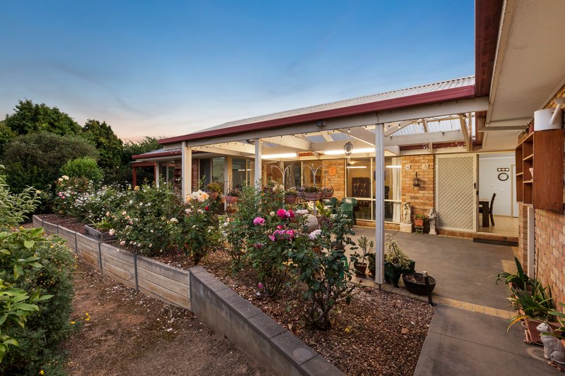 Photo - 11 Thoroughbred Boulevard, Doreen VIC 3754 - Image 10