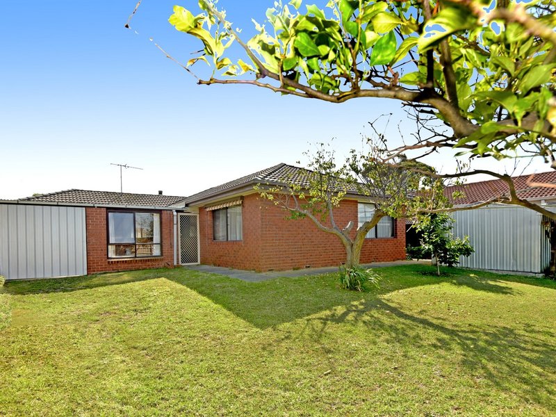 Photo - 11 Trilby Avenue, St Leonards VIC 3223 - Image 12