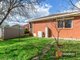 Photo - 11 Truslove Court, Endeavour Hills VIC 3802 - Image 11