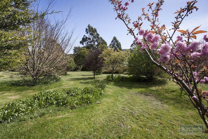 Photo - 11 Tylers Rd , Strathblane TAS 7109 - Image 14