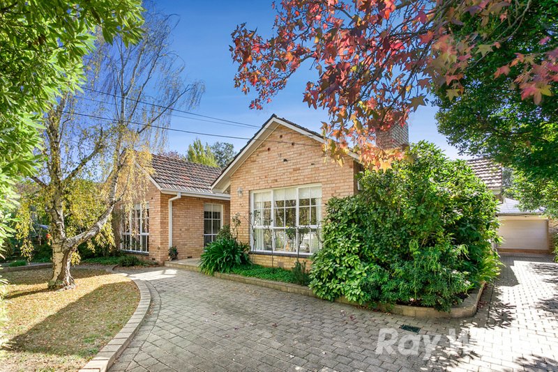 11 Venice Street, Box Hill South VIC 3128