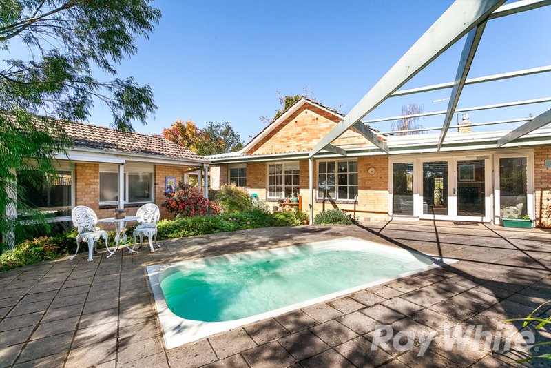 Photo - 11 Venice Street, Box Hill South VIC 3128 - Image 9