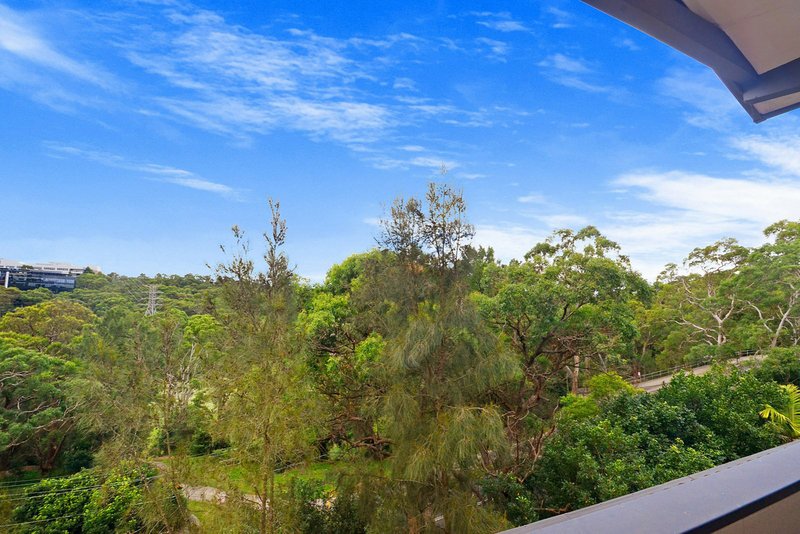 Photo - 11 Walkers Drive, Lane Cove NSW 2066 - Image 7