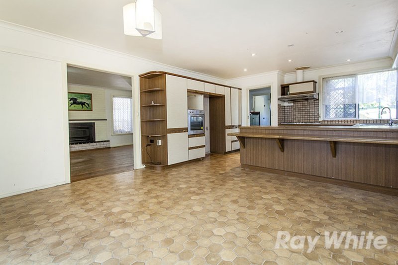 Photo - 11 Wallabah Street, Mount Waverley VIC 3149 - Image 3