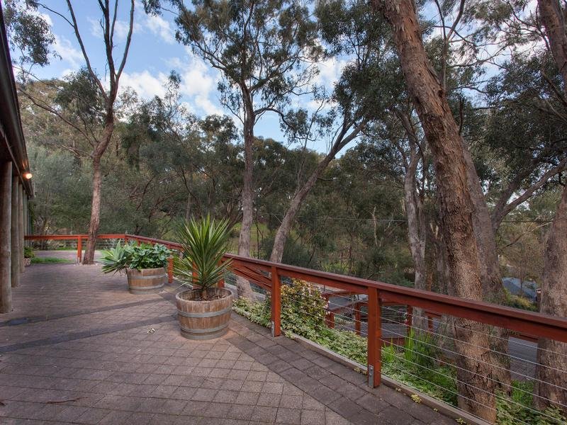 Photo - 11 Walsh Court, Coromandel Valley SA 5051 - Image 3