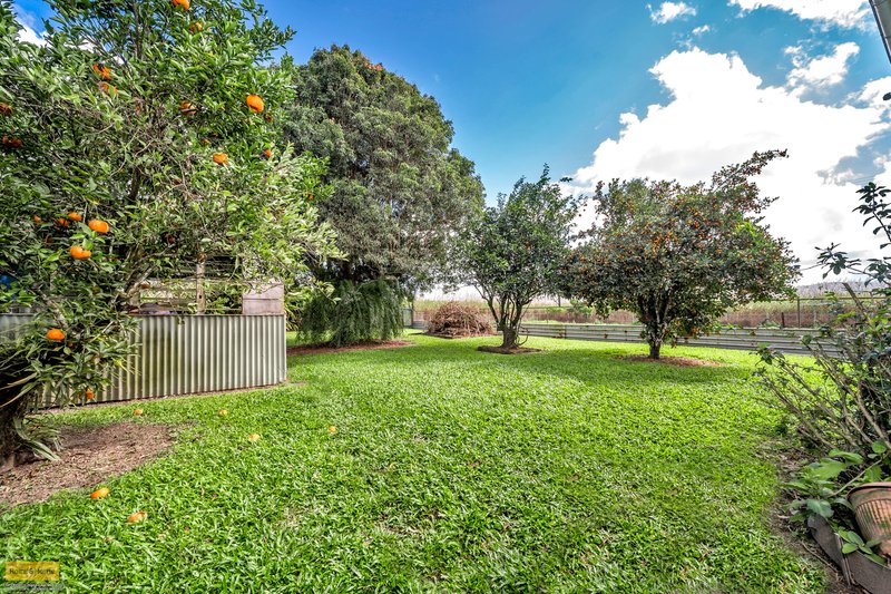 Photo - 11 Walter Lever Estate Road, Silkwood QLD 4856 - Image 18