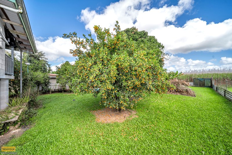 Photo - 11 Walter Lever Estate Road, Silkwood QLD 4856 - Image 21