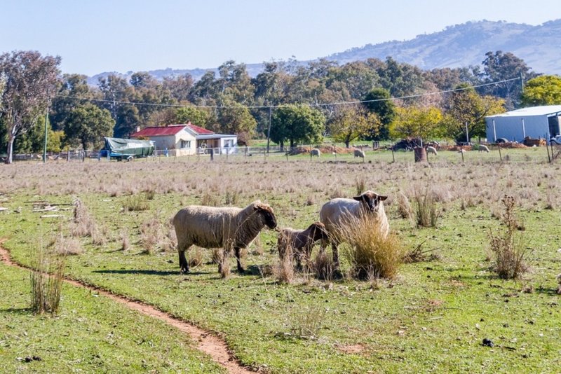 Photo - 11 Warrangong Circuit, Wattamondara NSW 2794 - Image 13