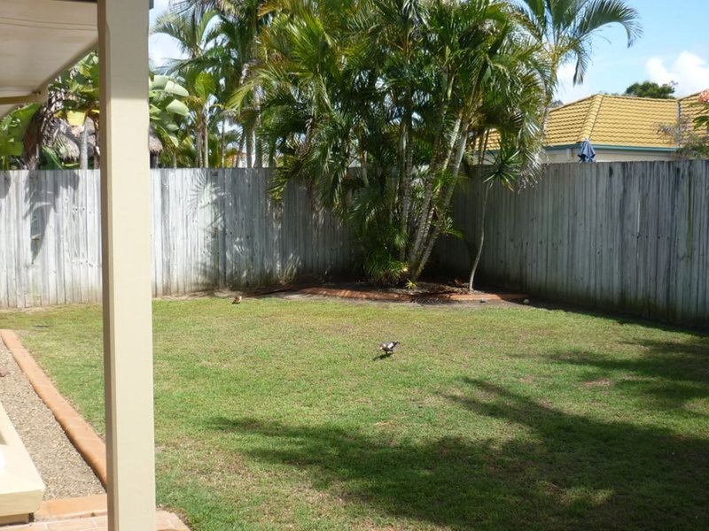 Photo - 11 Watergum Place, Twin Waters QLD 4564 - Image 8