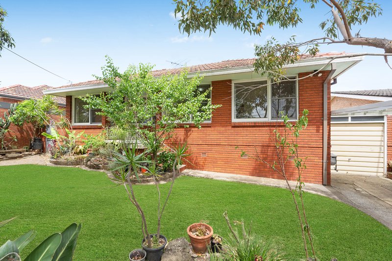 Photo - 11 Waycott Avenue, Kingsgrove NSW 2208 - Image 1