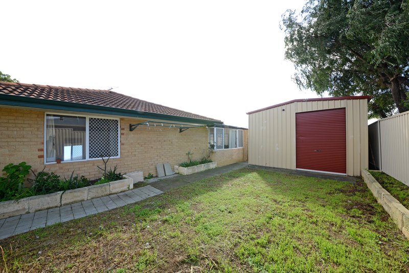 Photo - 11 Whiston Crescent, Clarkson WA 6030 - Image 26