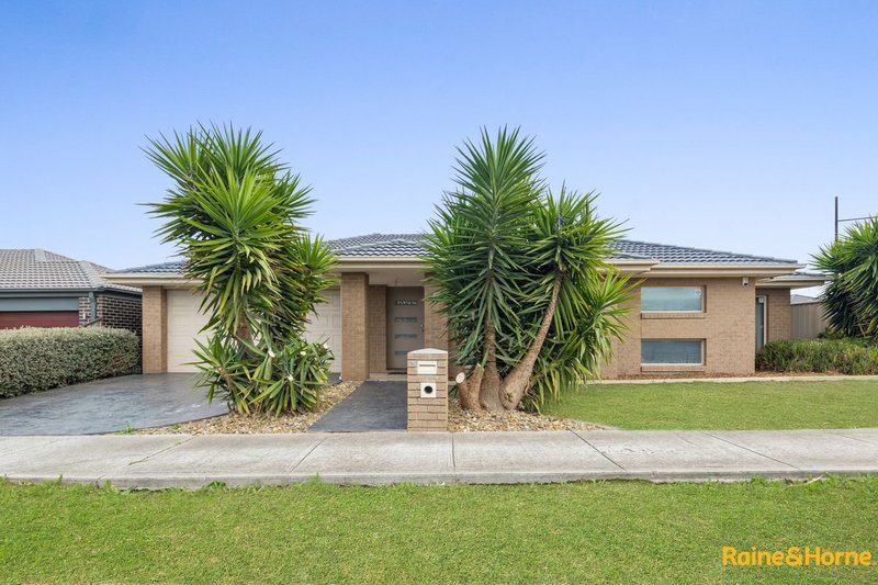 11 Wills Terrace, Burnside Heights VIC 3023