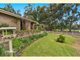 Photo - 11 Windarra Avenue, Burnside SA 5066 - Image 2