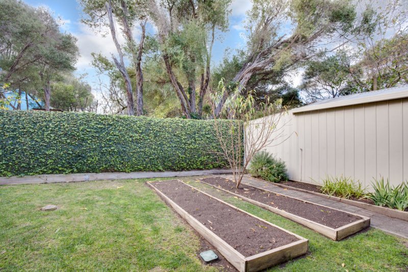 Photo - 11 Wondaree Street, Rye VIC 3941 - Image 12