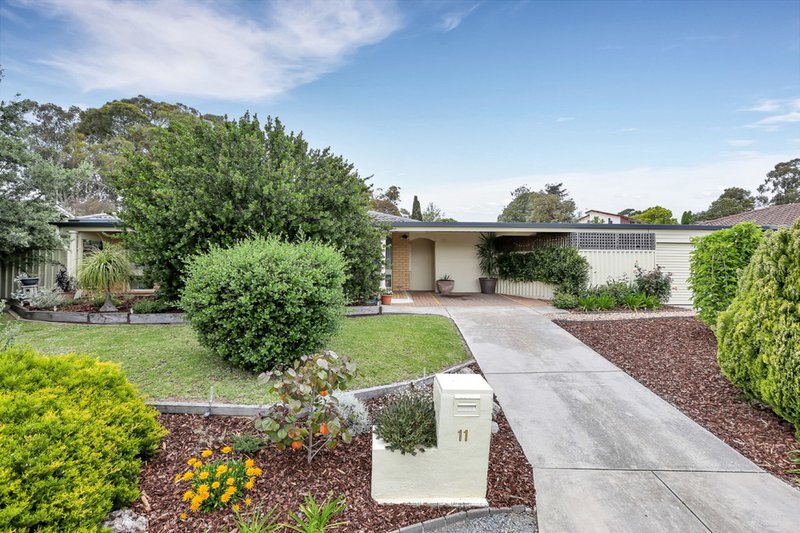 11 Wongabeena Drive, Surrey Downs SA 5126