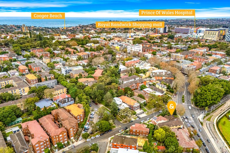 Photo - 110 Alison Road, Randwick NSW 2031 - Image 11