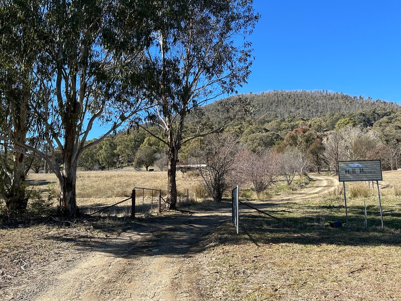 110 Bago Forest Road, Tumbarumba NSW 2653