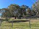 Photo - 110 Bago Forest Road, Tumbarumba NSW 2653 - Image 14