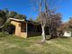 Photo - 110 Bago Forest Road, Tumbarumba NSW 2653 - Image 15