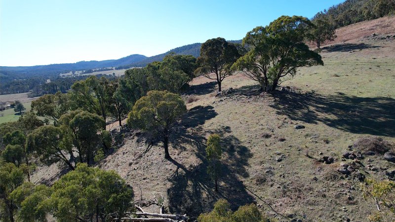 Photo - 110 Bago Forest Road, Tumbarumba NSW 2653 - Image 19