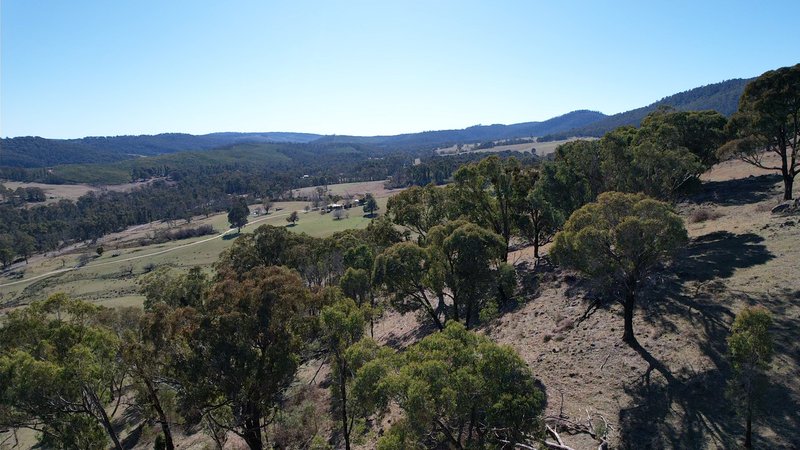 Photo - 110 Bago Forest Road, Tumbarumba NSW 2653 - Image 21