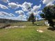 Photo - 110 Bago Forest Road, Tumbarumba NSW 2653 - Image 16