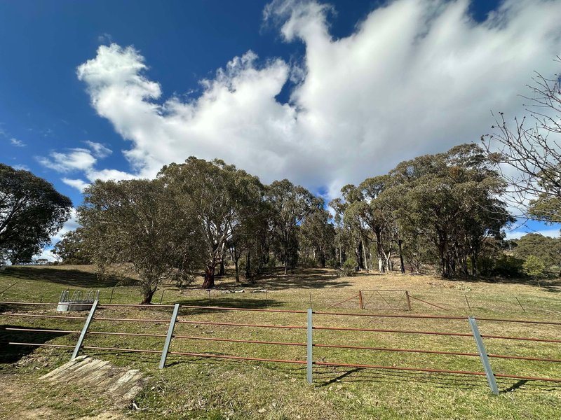 Photo - 110 Bago Forest Road, Tumbarumba NSW 2653 - Image 20