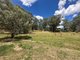 Photo - 110 Bago Forest Road, Tumbarumba NSW 2653 - Image 22