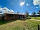 Photo - 110 Bago Forest Road, Tumbarumba NSW 2653 - Image 24