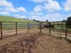 Photo - 110 Blacks Road, Dalrymple Heights QLD 4757 - Image 11