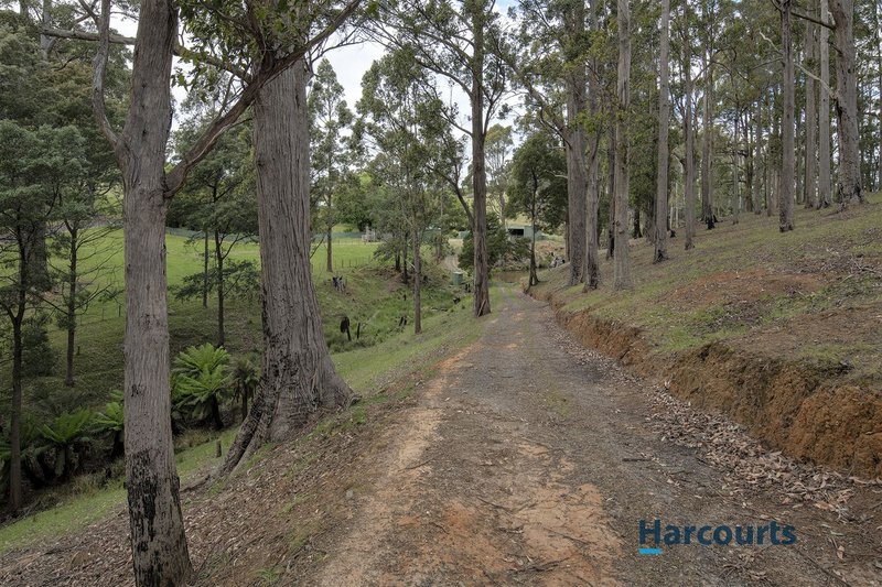 Photo - 110 Clerke Plains Road, Spalford TAS 7315 - Image 2