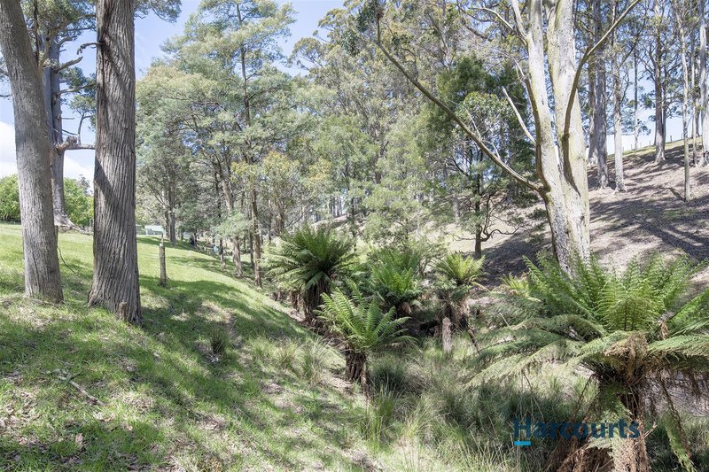 Photo - 110 Clerke Plains Road, Spalford TAS 7315 - Image 6