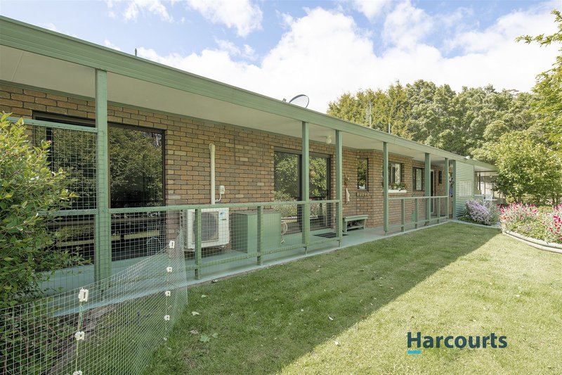 Photo - 110 Clerke Plains Road, Spalford TAS 7315 - Image 20