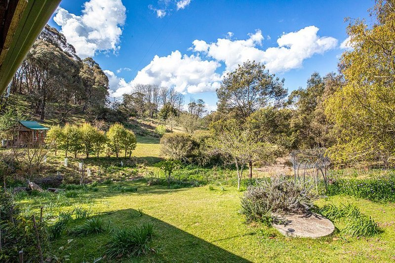 Photo - 110 Flacks Road, Braidwood NSW 2622 - Image 11