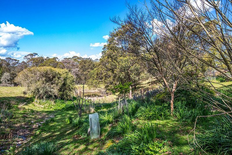 Photo - 110 Flacks Road, Braidwood NSW 2622 - Image 17