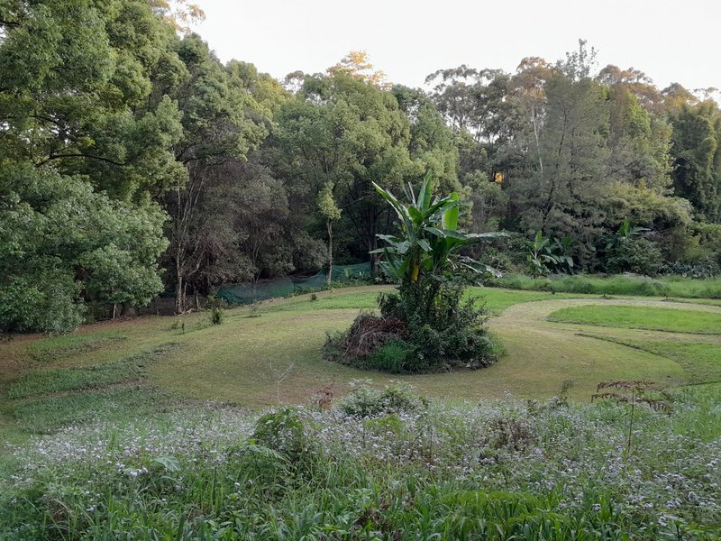 Photo - 110 Gungas Road, Nimbin NSW 2480 - Image 18