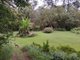 Photo - 110 Gungas Road, Nimbin NSW 2480 - Image 29