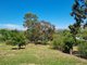 Photo - 110 Hanley Street, Gundagai NSW 2722 - Image 17