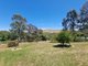 Photo - 110 Hanley Street, Gundagai NSW 2722 - Image 19