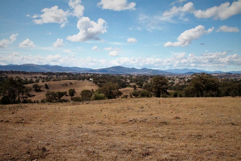 Photo - 110 Ray Carter Drive, Quirindi NSW 2343 - Image 3