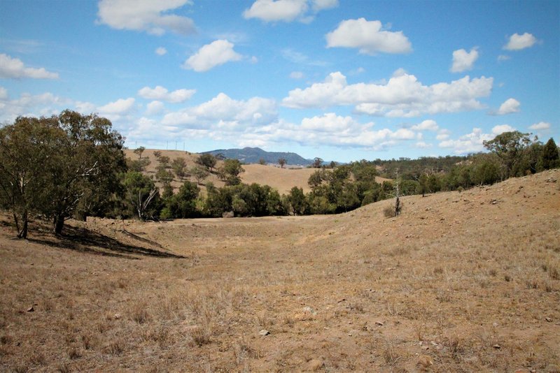 Photo - 110 Ray Carter Drive, Quirindi NSW 2343 - Image 5