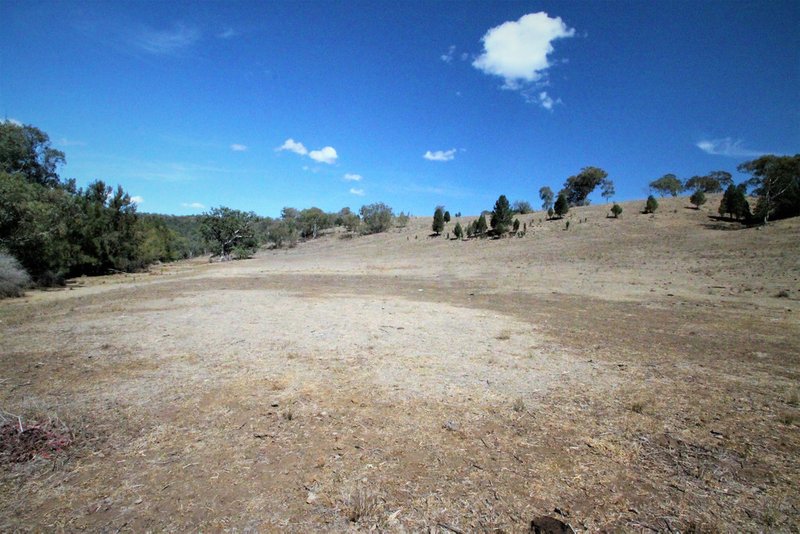 Photo - 110 Ray Carter Drive, Quirindi NSW 2343 - Image 8